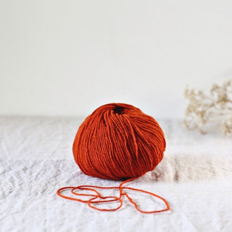 de rerum natura ULYSSE - BONIFAKTUR - potimarron - de rerum natura ULYSSE